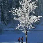 Edenhof * באד קליניקירשהיים