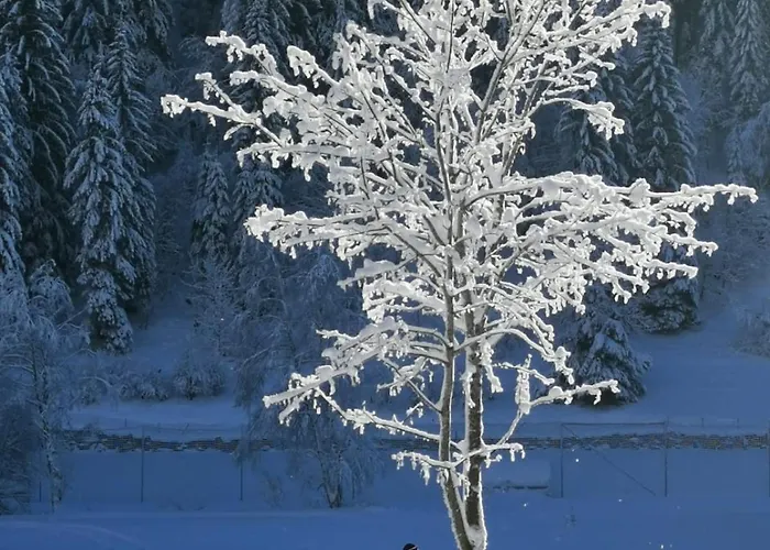 Edenhof * באד קליניקירשהיים